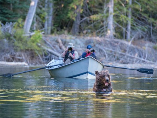 Grizzly bear tour in British Columbia