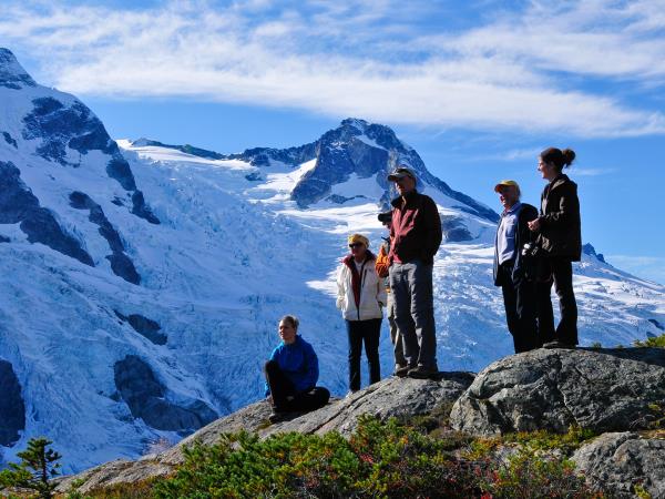 Grizzly bear tour in British Columbia