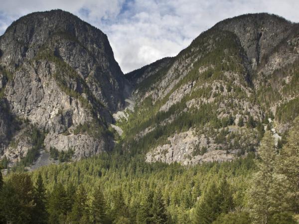 Grizzly bear tour in British Columbia
