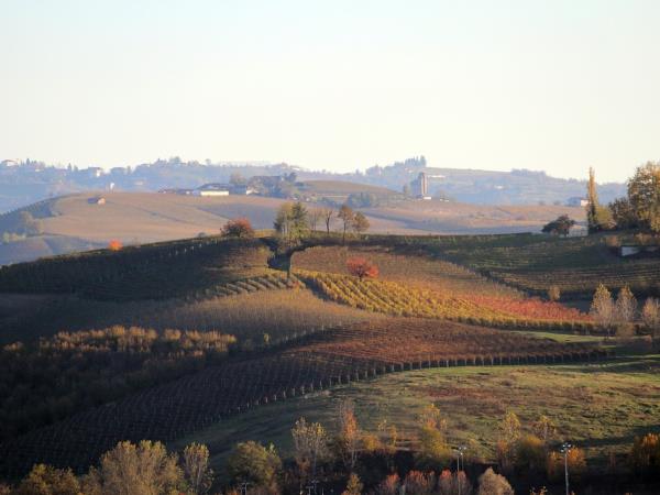 Italy highlights tour, Venice to Rome