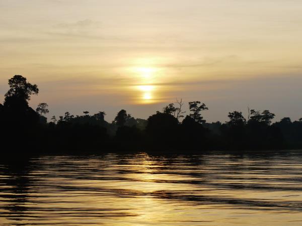 Borneo rainforest & beach adventure vacation