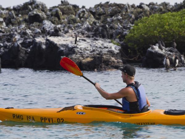 Galapagos and Amazon Wildlife vacation