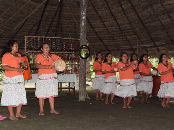 Galapagos and Amazon Wildlife vacation