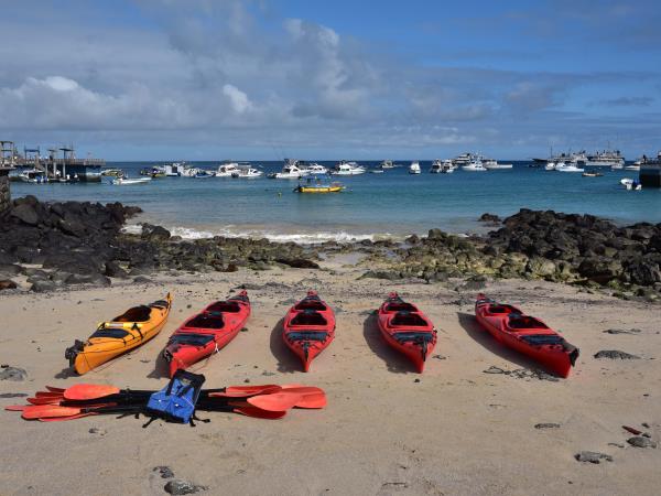 Galapagos and Amazon Wildlife vacation