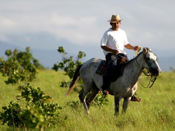 Guyana small group tour