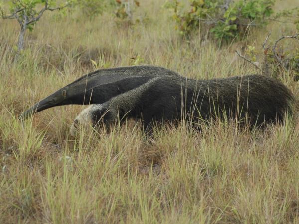 Guyana small group tour