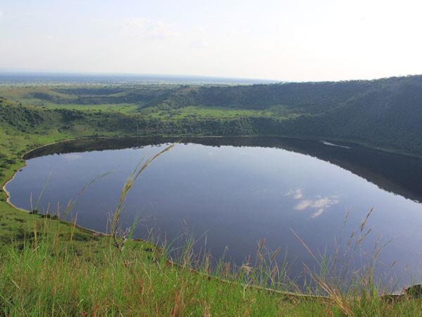 Gorilla and game safari in Uganda