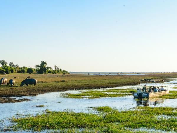 Botswana family Safari with teenagers vacation