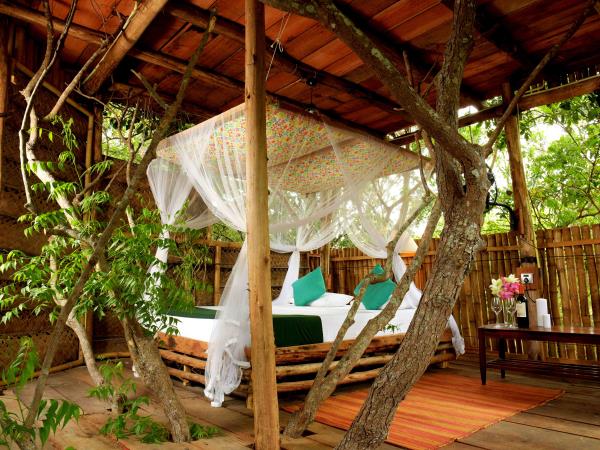Sri Lanka yoga and safari retreat