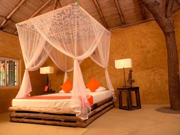 Sri Lanka yoga and safari retreat