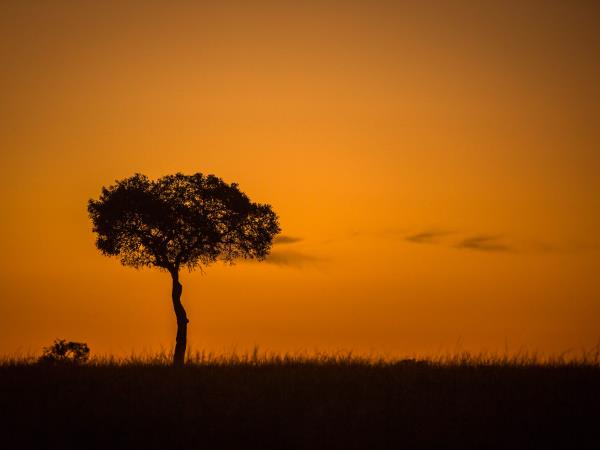Family safari and beach vacations in Kenya