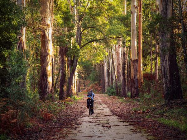 Atlantic Coast biking vacation in Portugal