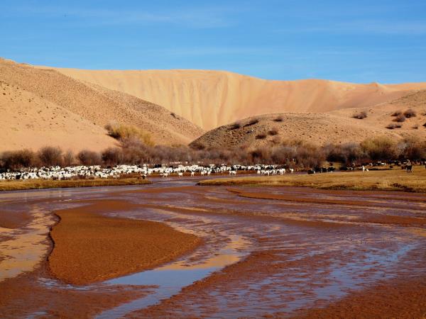 West Mongolia tour, 14 days