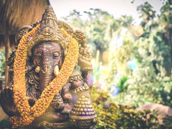 Kerala and tigers tour in India