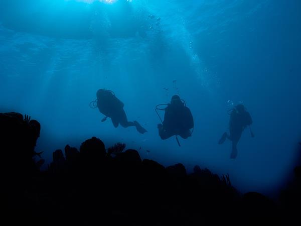 Bahamas liveaboard diving holiday in the Caribbean