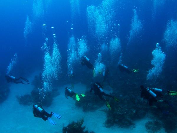 Bahamas liveaboard diving holiday in the Caribbean