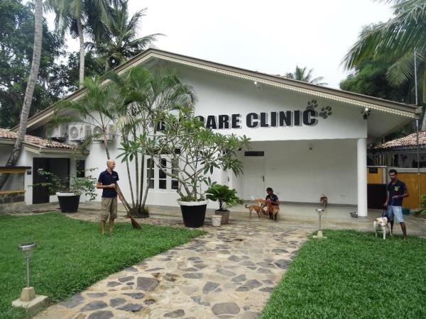 Sri Lanka dog shelter volunteering