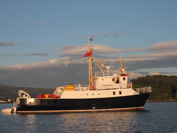Scottish Hebrides guided wildlife tour