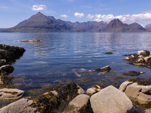 Scottish Hebrides guided wildlife tour