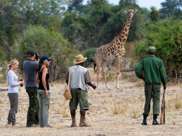 Zambia wildlife vacation, the Luangwa Valley