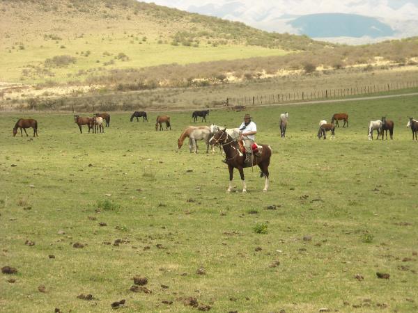 Salta Valley horseridng vacation in Argentina