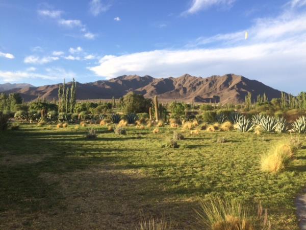 Salta Valley horseridng vacation in Argentina