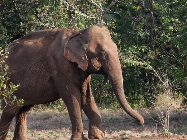 Cambodia vacation, tailor made