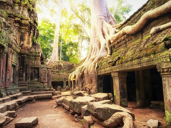 Cambodia vacation, tailor made