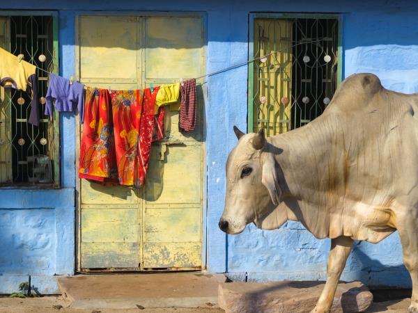 North India tailormade vacation
