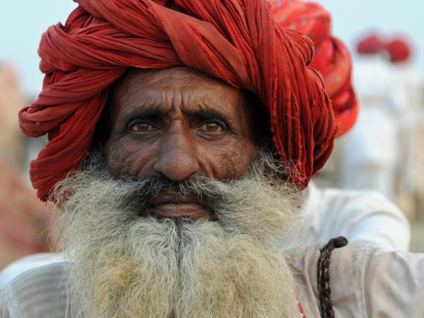 North India tailormade vacation