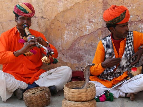 North India tailormade vacation