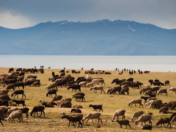 Kyrgyzstan vacation, tailor made adventure