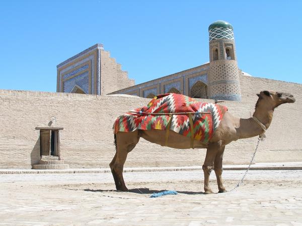 Tehran to Tashkent Silk Road tour, private departure