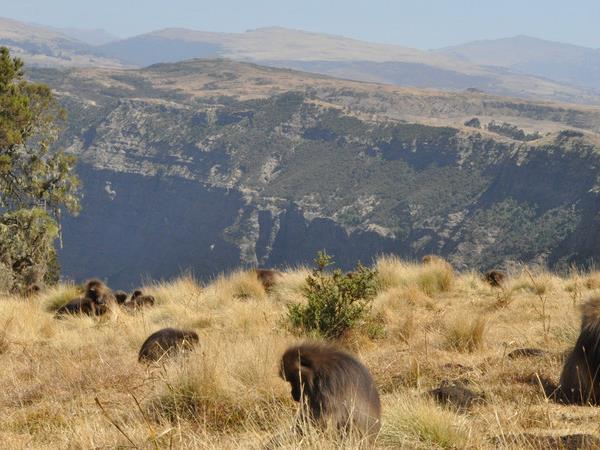 Ethiopia tours