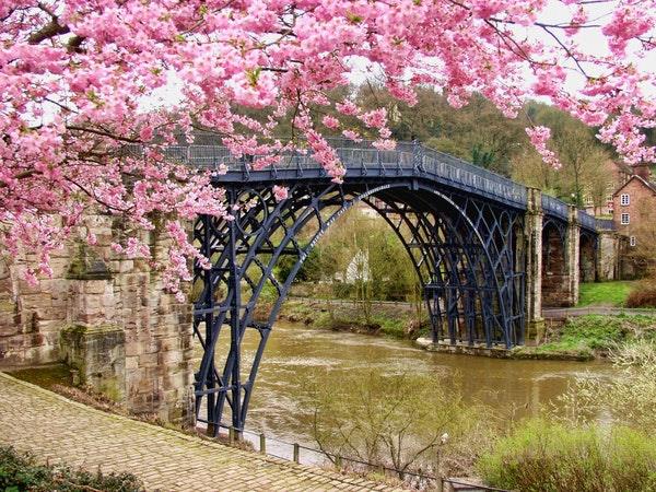 Japan private tour, authentic journey