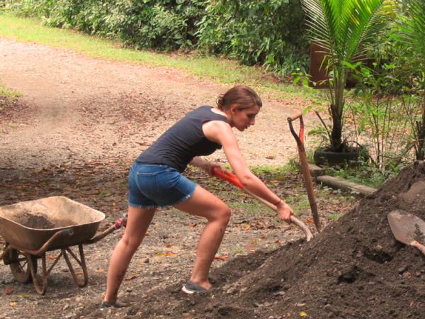 Wildlife rescue volunteering in Costa Rica