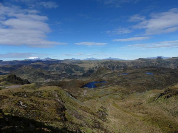 Andes wildlife tour in Ecuador
