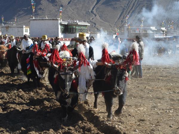 In depth tour of Tibet