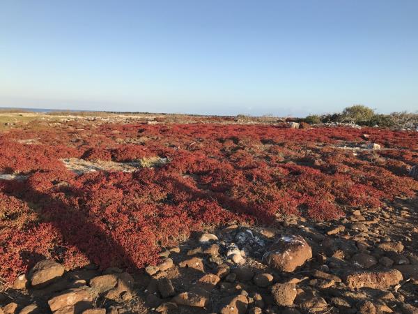 Galapagos Islands tour
