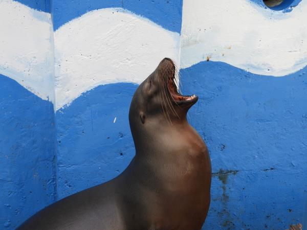 Galapagos Islands tour