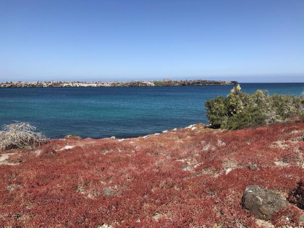 Galapagos Islands tour