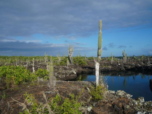 Galapagos Islands tour