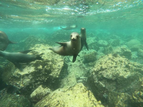 Galapagos Islands tour