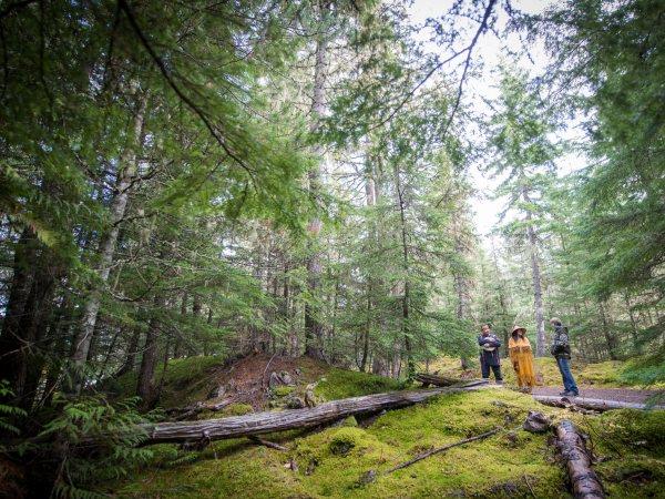 West Canada holiday
