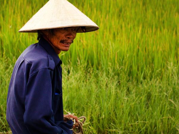 Vietnamese family vacation, small group