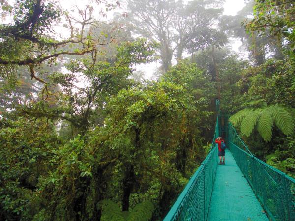 Costa Rica family adventure tour