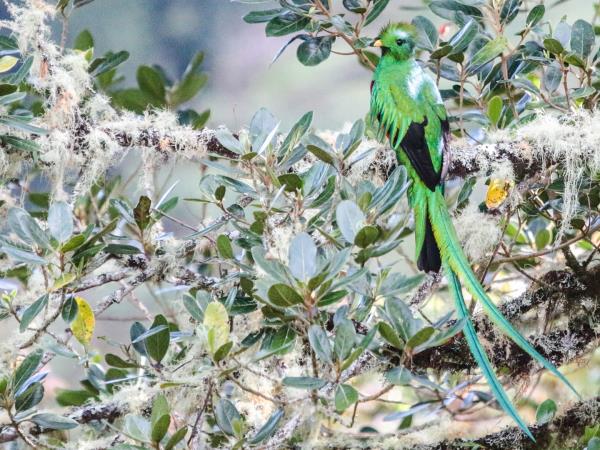 Costa Rica wildlife explorer holiday