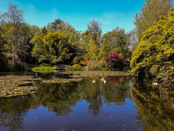 Gardens of New Zealand tour, spring time
