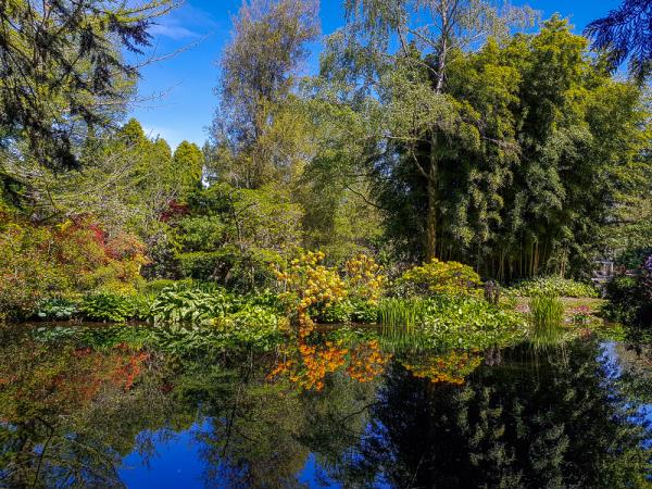 Gardens of New Zealand tour, spring time