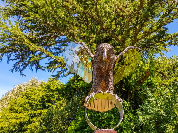 Gardens of New Zealand tour, spring time
